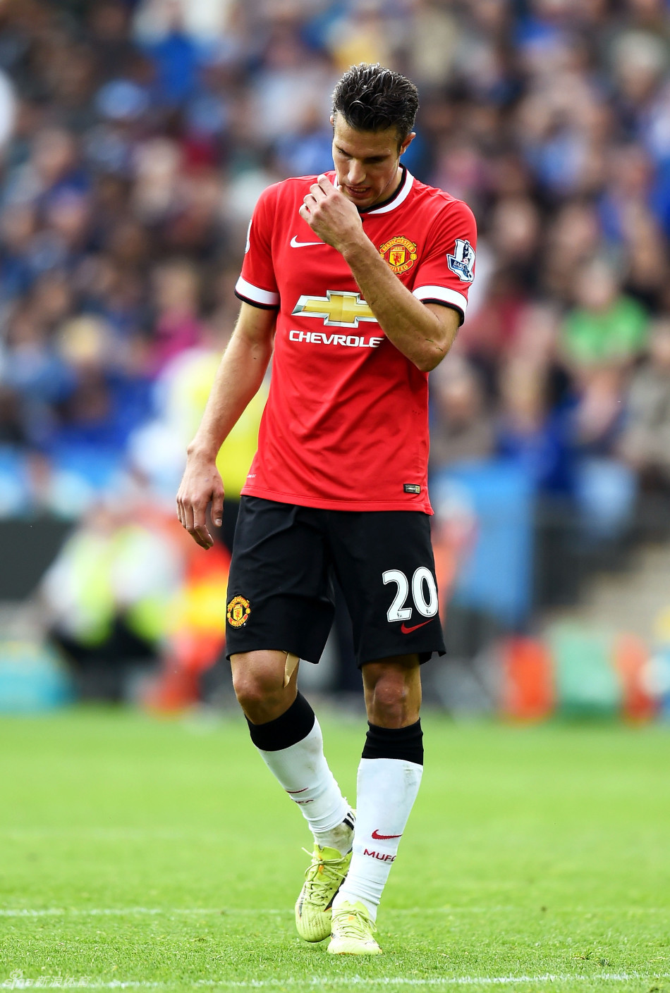 东体：国足广东冬训只练体能，海外拉练前往阿联酋或踢热身赛（东体：国足广东冬训专注体能，拟赴阿联酋海外拉练并可能进行热身赛）